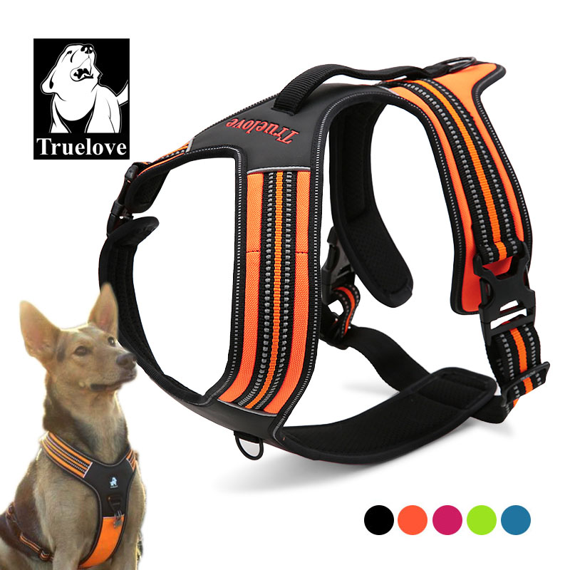 Outdoor Adventure Xl - Pettorina per Cani Truelove Sport in