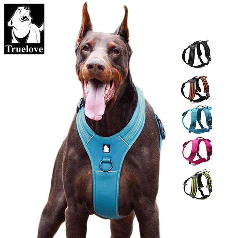 Pettorina per Cani Truelove Sp - Outdoor Adventure Xl recensione e prezzo